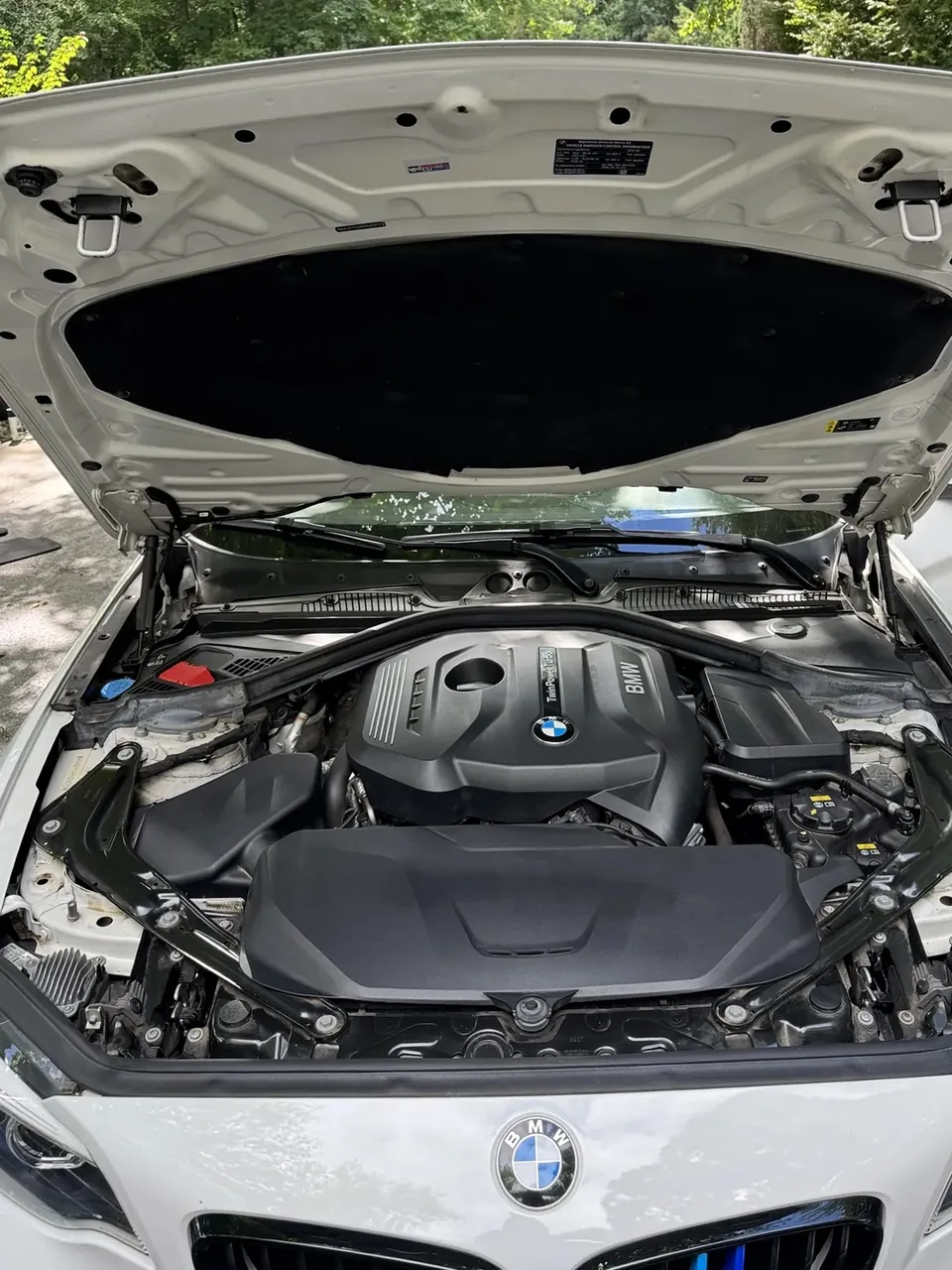 After: the same BMW engine bay, clean