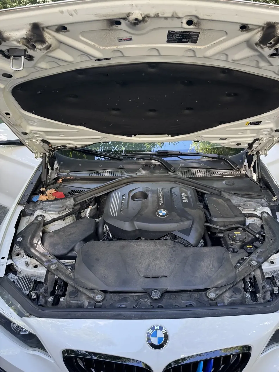 Before: dusty BMW engine bay